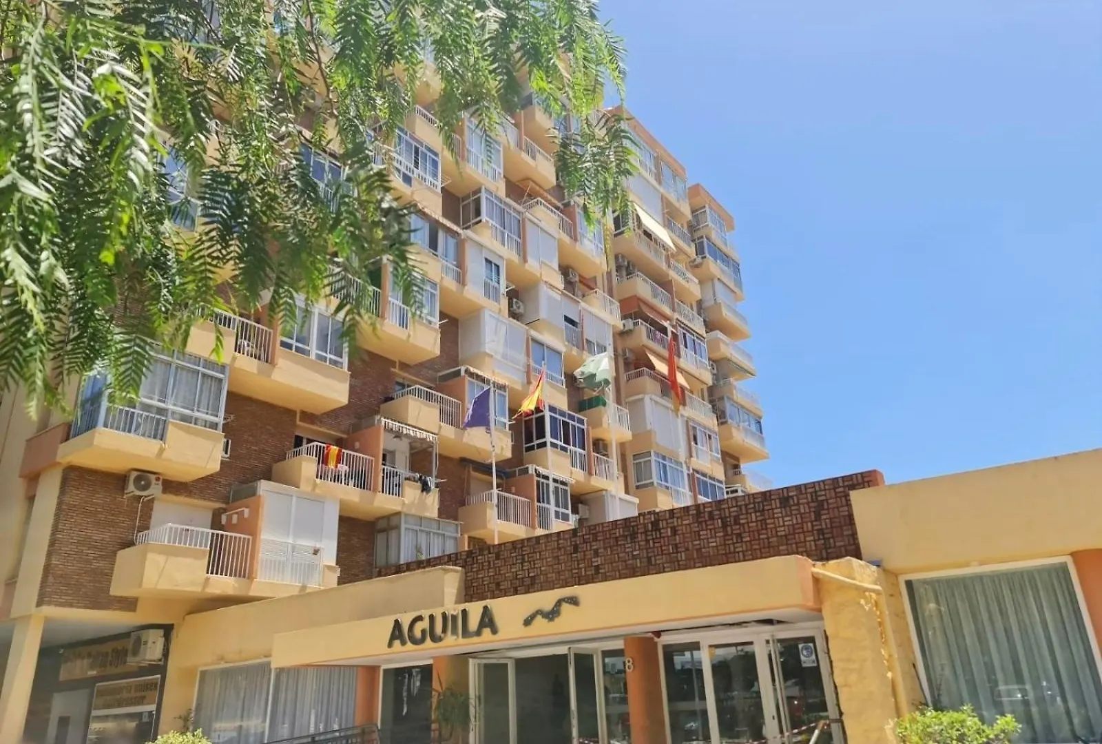 Estudio Aguila Prive Aceptamos Mascotas Benalmadena 0*,