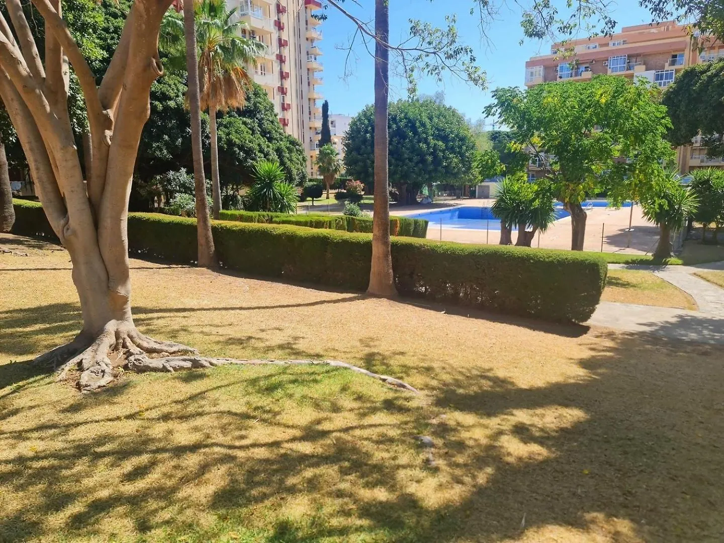 Estudio Aguila Prive Aceptamos Mascotas Benalmadena