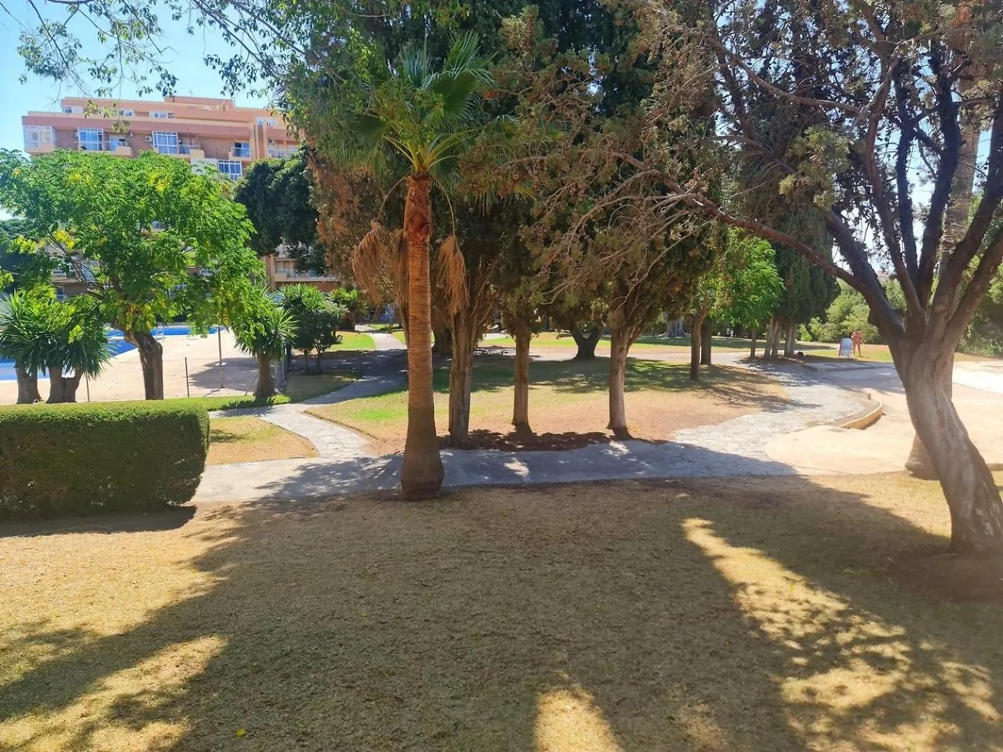 Estudio Aguila Prive Aceptamos Mascotas Benalmadena 0*,